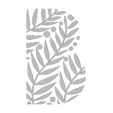 Briogeo logo